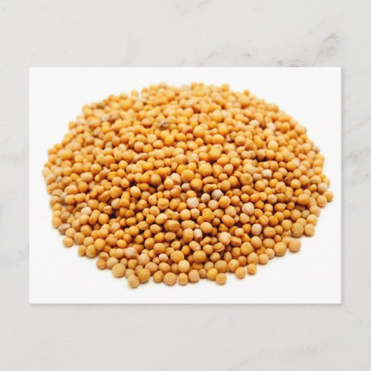 Senfsamen Postkarte (Vorderseite)
