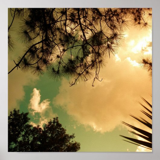 Senic Sky Poster (Vorne)