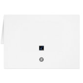 Senior Birthday, Dinosaur, REACH 90 (or any age) (Rückseite Horizontal)