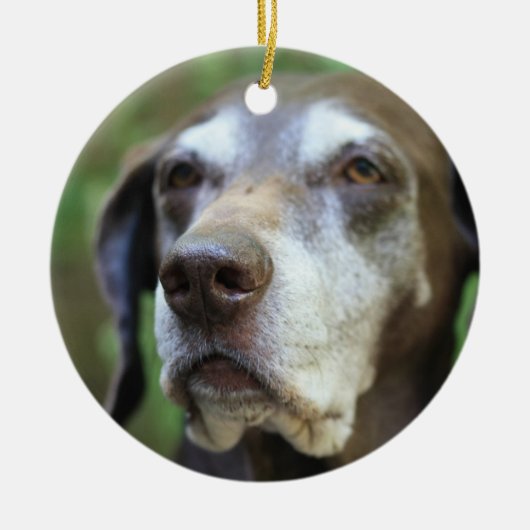 Senior German Pointer Ornament (Vorne)