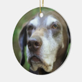 Senior German Pointer Ornament (Links)