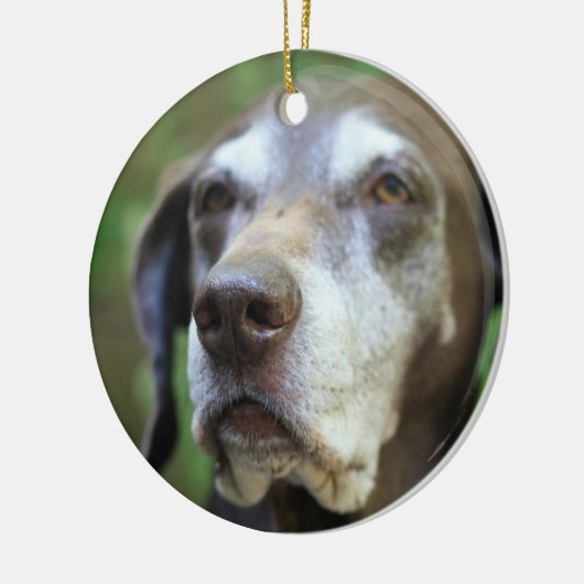 Senior German Pointer Ornament (Links)