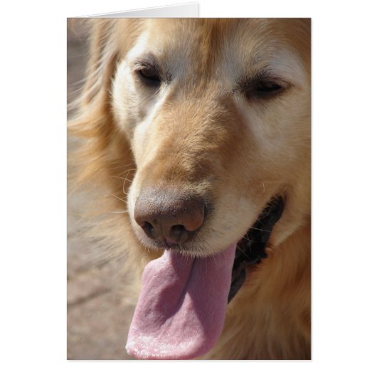 Senior Golden (Vorne)