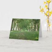 Senior Row Trees Bryn Mawr Karte (Gelbe Blume)