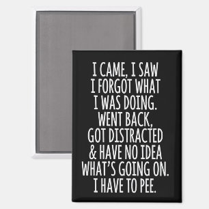 Senioren Bürger Ich kam ich sah ich vergaß was ich Magnet