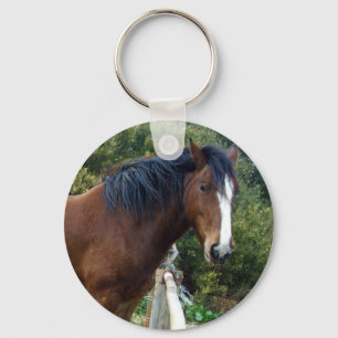 Senioren Clydesdale Horse, Schlüsselanhänger