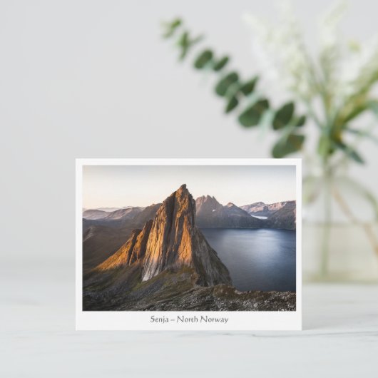 Senja Island Norwegen Postkarte (Stehend Vorderseite)