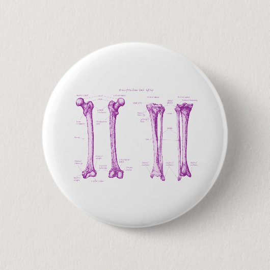 Senken Sie das lila Glied Button (Vorderseite)