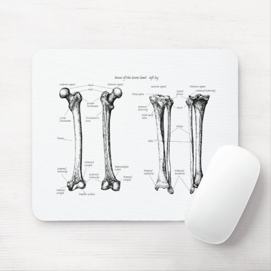 Senken Sie Glied-Grau Mousepad (Mit Mouse)