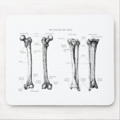 Senken Sie Glied-Grau Mousepad (Vorne)