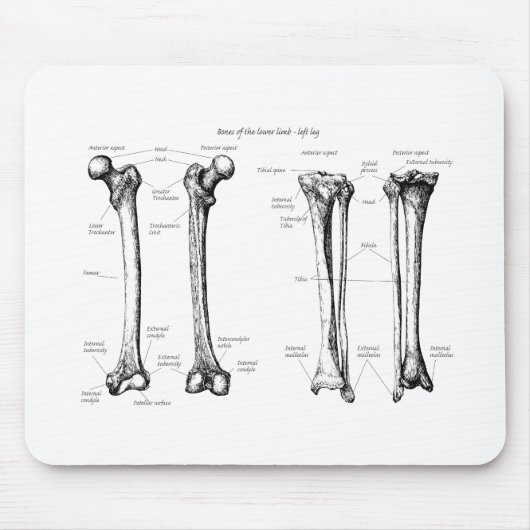 Senken Sie Glied-Grau Mousepad (Vorne)