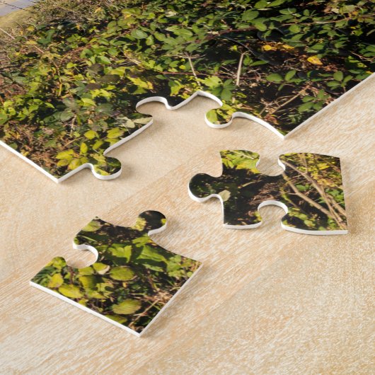 Sennen Cove Cornwall England Puzzle (Seite)