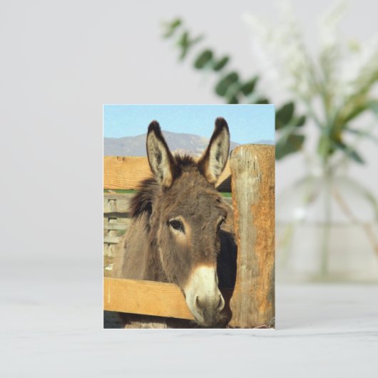 Seno Burro Postkarte (Stehend Vorderseite)