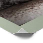 Sensationelles Siberisches Katzenposter Poster (Ecke)