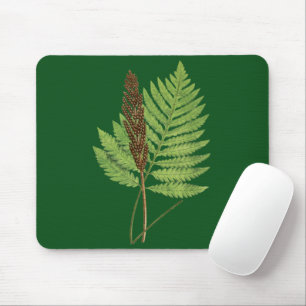 Sensibilisierung für Onoclea (Sensitive Fern)-Farn Mousepad