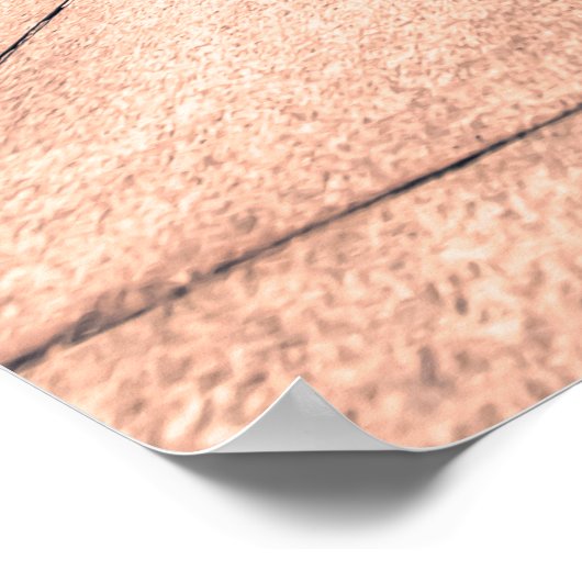 Senso-Ji Poster (Ecke)