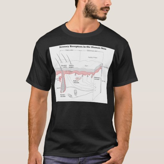Sensorik-Rezeptoren in der menschlichen Haut T-Shirt (Vorderseite)