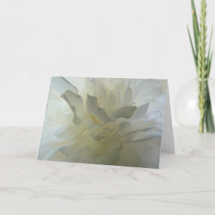 Sensual Delight AH2010 Karte