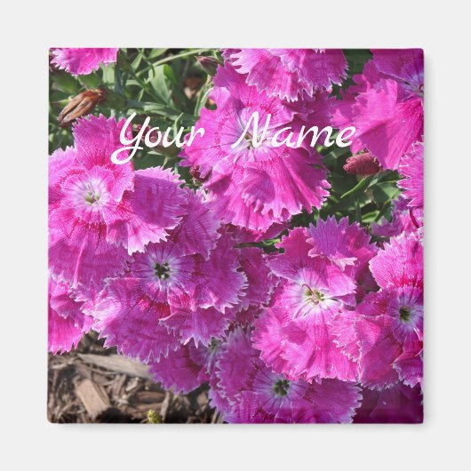 Sensual Lacy Purple Flowers Magnet (Vorne)