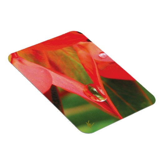 Sensual, Red Petals with Dew, Sexy Flower Magnet (Rechte Seite)