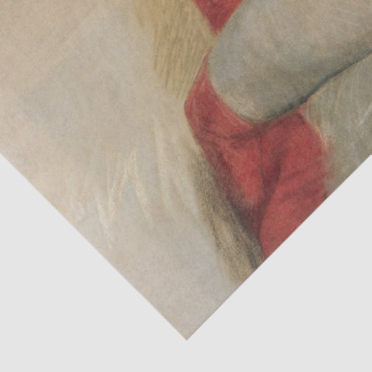 Sensual Weibliche Schönheit mit roten Strümpfen Seidenpapier (Detail)