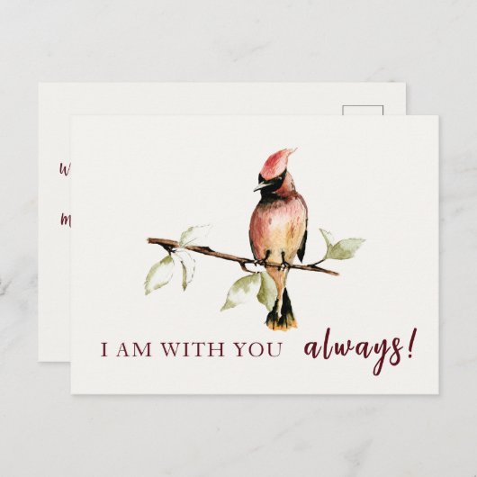 Sentimental bin ich bei dir immer Red Kardinal Postkarte (Vorne/Hinten)