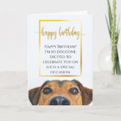Sentimental Dog Funny Birthday Epic New Love Karte (Vorderseite)