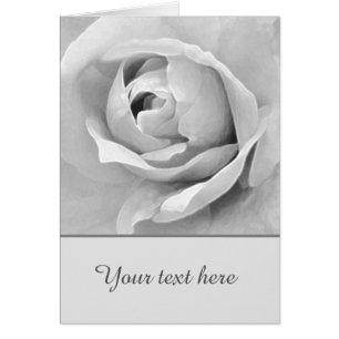 Sentimental kundenspezifische weiße Rose