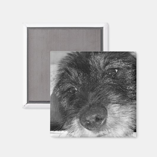 sentimental magnet (Vorderseite/Rückseite)