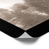 Sentinal Hotel Yosemite Foto 1906 Poster (Ecke)