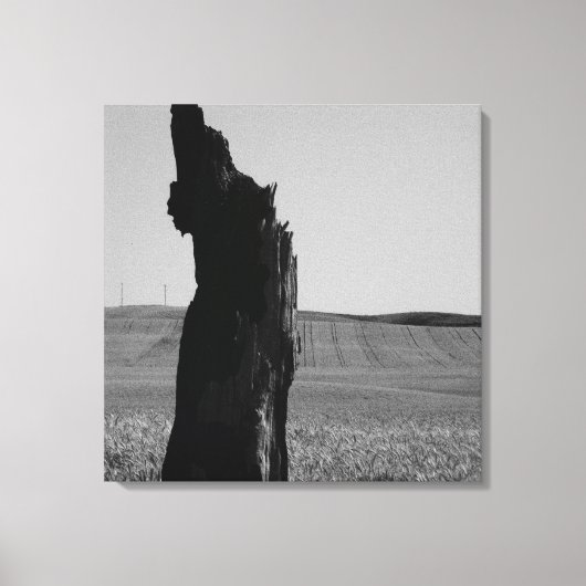 Sentinal Leinwanddruck (Vorderseite)