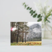 Sentinel Meadow Postkarte (Stehend Vorderseite)