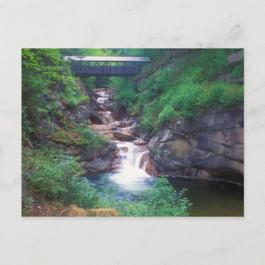 Sentinel Pine Bridge Flume Gorge Postkarte (Vorderseite)