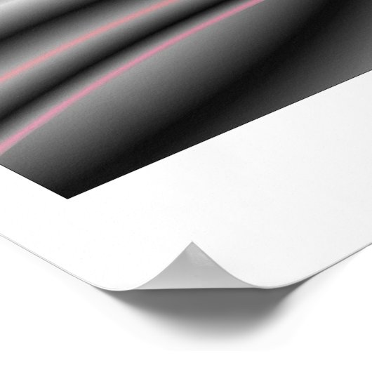 SENTINEL POSTER (Ecke)