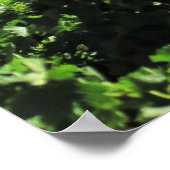 Sentinel über dem Weinberg Poster (Ecke)