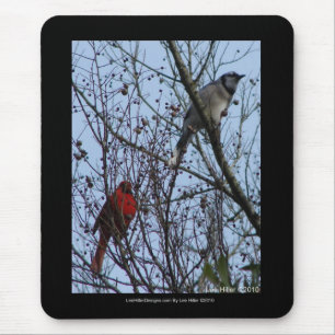 Sentinels Blaue Jay und Kardinal von Lee Hiller Mousepad