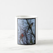 Sentinels Blue Jay und Kardinal von Lee Hiller Kaffeetasse (Mittel)
