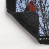 Sentinels Blue Jay und Kardinal von Lee Hiller Mousepad (Ecke)