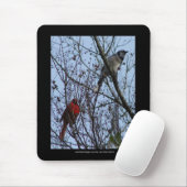 Sentinels Blue Jay und Kardinal von Lee Hiller Mousepad (Mit Mouse)