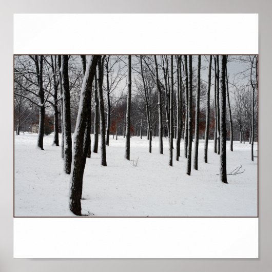 SENTRIES POSTER (Vorne)