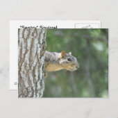 "Sentry"-Eichhörnchen Postkarte (Vorne/Hinten)
