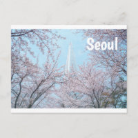 Seoul Cherry Blossom