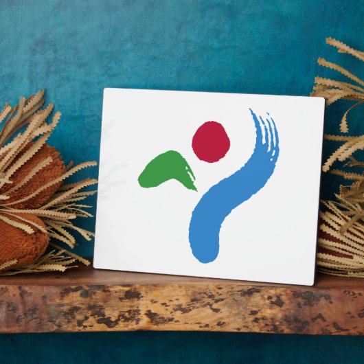 Seoul Flag Plaque Fotoplatte (Seite)