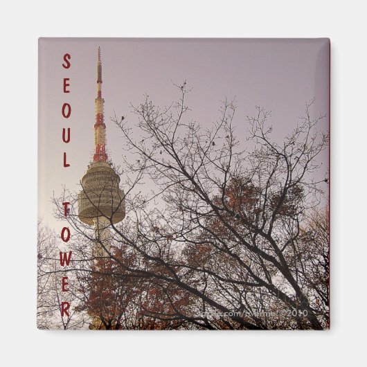 Seoul Tower/ Namsan Park, Seoul, Südkorea Magnet (Vorne)