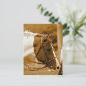 Sephia Horse Mosaics Postkarte (Stehend Vorderseite)