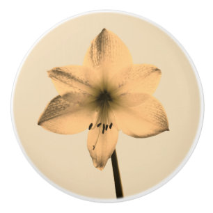 Sepia amaryllis keramikknauf