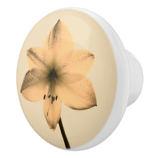 Sepia amaryllis keramikknauf (Rechts)