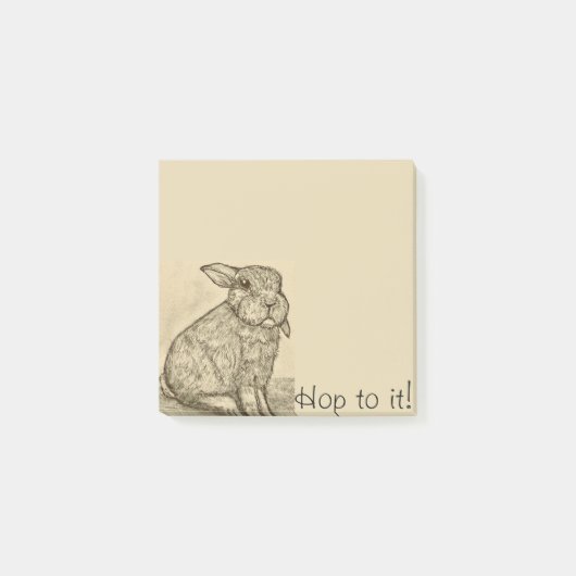 Sepia Antique Bunny Rabbit Nachhinweise Post-it Klebezettel (Vorderseite)