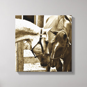 Sepia-Bild von zwei Pferden Oben-Nah Leinwanddruck
