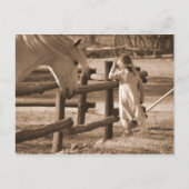 Sepia Black and White Horse and Child Postkarte (Vorderseite)